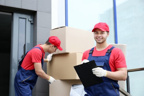 Person reviewing a removals complaint file