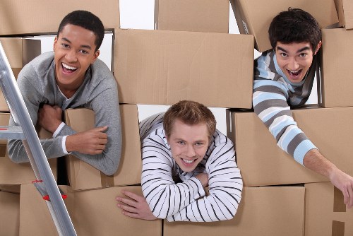 Local office movers coordinating transport logistics for a Catford business relocation