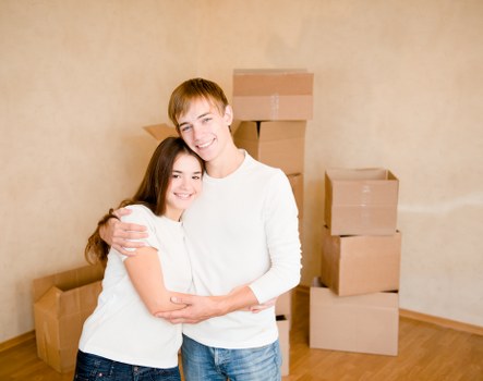 Professional van loading for a flexible move in Catford