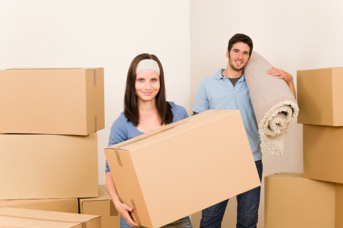 Storage and relocation planning for a Catford removals project